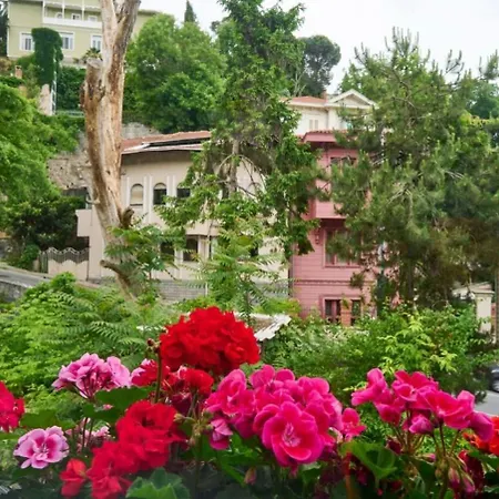 Cute Charming 1bed1bath Bebek Hidden Gem! #77 *